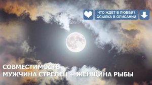 Совместимость мужчины Стрельца и женщины Рыбы