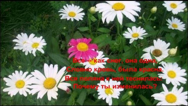 Буктрейлер "Красная ромашка", Муса Джалиль смотреть онлайн