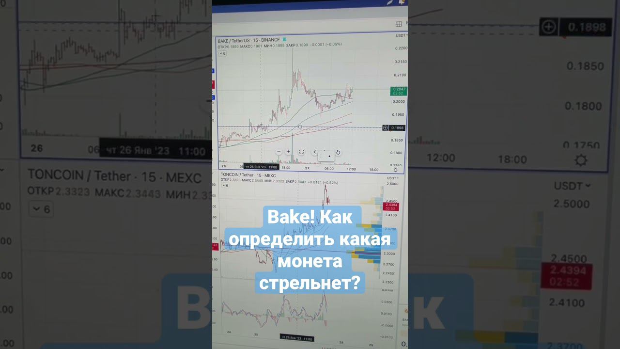 Как определить какая монета стрельнет? Bake!