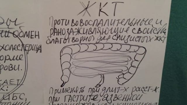 Масло расторопши - польза! Какое приобретать, что бы была реальная польза. Maslozdrav.ru