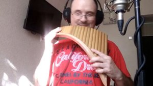 Лебединая верность. Мартынов. Панфлейта/флейта Пана/най/panflute/nai