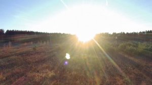 у каждого свое хобби. дрон SJRC F11 4K Pro и коп с Ace evro 350  #квадрокоптер #дрон #коп