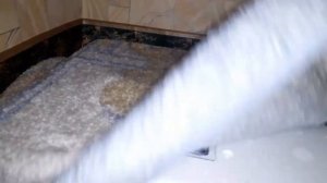 отключили свет в день вывода цыплят