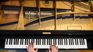 Enigma Piano Return to innocence C.Bechstein A228