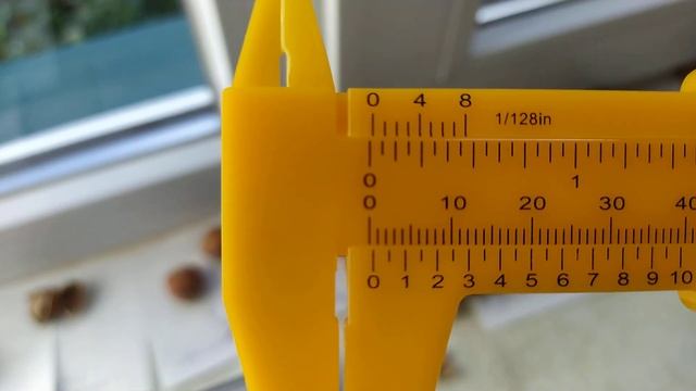 ГРЕЦКИЙ ОРЕХ . Сорто-форма Макс...7 . Толщина скорлупы у сигналки 0.5мм !! Да ещё и белое ядро!! ??