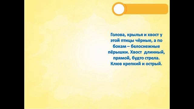 Видеопутешествие «Удивительный мир птиц» смотреть онлайн