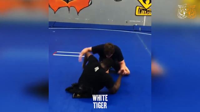 БЕШЕНОЕ ЖЕЛАНИЕ ЖИТЬ! Zion Clark - борец без ног, который шокировал весь мир! смотреть онлайн