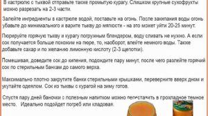 Сок из тыквы на зиму с курагой