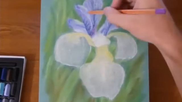 Рисуем Ирис пастелью смотреть онлайн