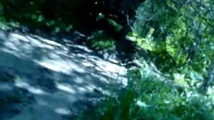 Дорога на Тиберкуль