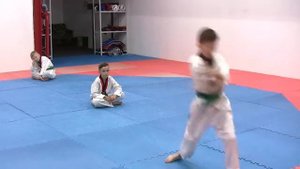Тхэквондо (ВТФ). Алькор. Защита Синего Пояса. Пятое Пхумсе