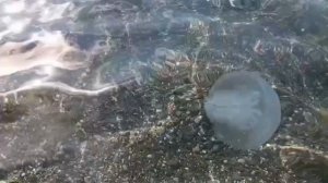 #Крым Судак центральный пляж