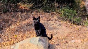 ? ПОГОДА в АЛУШТЕ в НОЯБРЕ месяце | КАКАЯ погода в КРЫМУ в НОЯБРЕ месяце | Крым 2022 | Алушта 2022