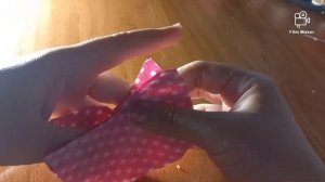 как сшить кепку для собаки своими руками