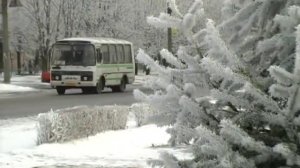 Дарья Близнюк Красный Луч