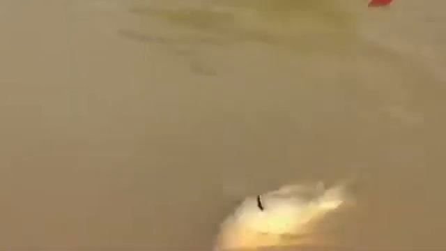 Рыбалка на карпа, ловля на донку, хорошая рыбалка смотреть онлайн