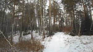 04.11.2021. МИНЖУЛЬСКОЕ НАГОРЬЕ. Знакомство со скалой ШАМАН. Река МИНЖУЛЬ.