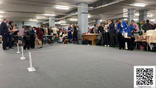 Моно Пудель, 02 апреля 23, Москва, судья Zeljko Gajic, часть 1 смотреть онлайн