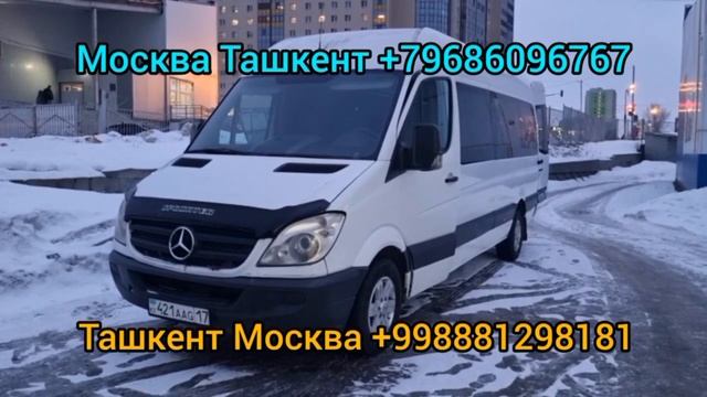 ташкент-москва автобус такси москва-ташкент автобус москва ташкент микроавтобус