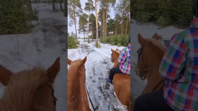 Конники должны уметь не только ездить на лошади, а ещё и снимать верхом боясь уронить телефон??