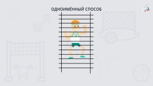 Лазание по гимнастической стенке