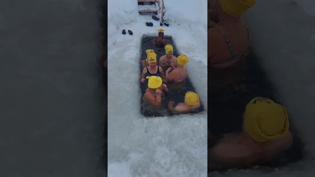 Закаливание. Моржевание