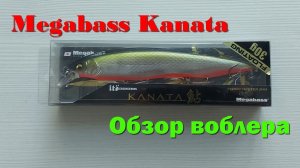 Megabass Kanata обзор воблера. Убийца крупной щуки