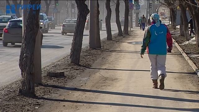 Как правильно обрезать деревья смотреть онлайн