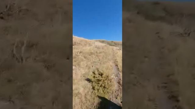 не покупайте дорогие машины купите ишака смотреть онлайн