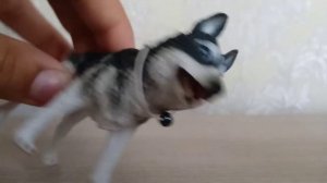 My collection schleich dogs / Моя коллекция собак и волков schleich, collecta