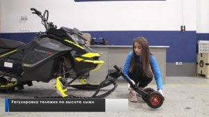 Тележки под лыжи Rival Supreme