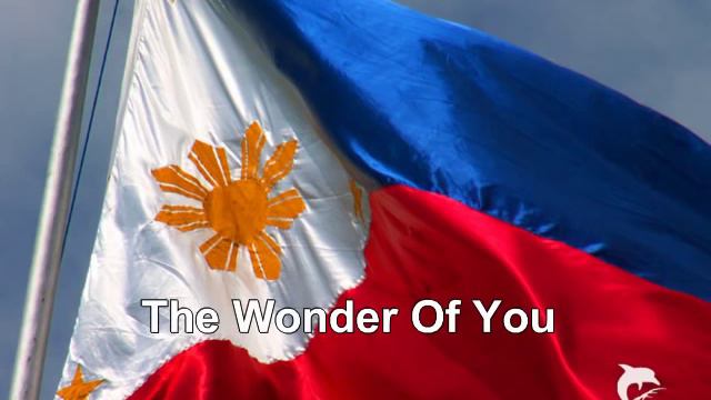 Echevria, Andry T. The Wonder Of You by Victor Wood смотреть онлайн