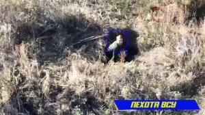 ❗️Бои за Белогоровку: 7-я бригада уничтожает врага.