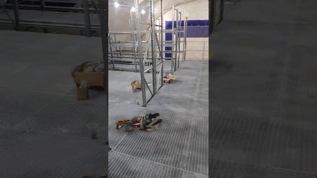 Складской мезонин на базе среднегрузовых стеллажей