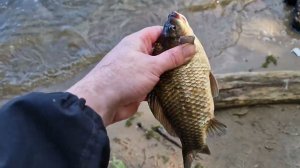 Рыбалка на Воронежском водохранилище