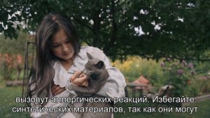 Как выбрать кошке ошейник и поводок?