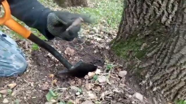 ПОИСК С МД GARRETT ACE 250, КАК ПОЧИСТИТЬ МЕДНУЮ МОНЕТУ !!! смотреть онлайн