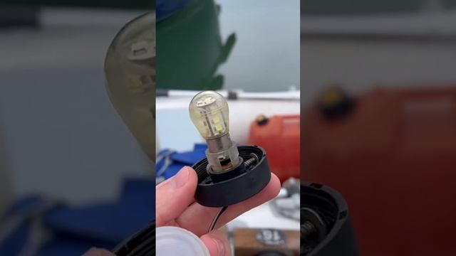 Как часто надо менять воду в лампочке? #yacht #electric