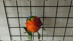 Artificial rainbow rose for wedding decor