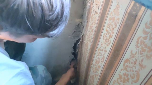 ??Блогеры строят лежанку? ПЛОДАРИАНЦЫ у печи??? смотреть онлайн