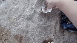 Поиск на пляже у моря или можно ли найти золото на отдыхе?