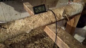 Вентиляция в курятнике. 
Несменяемая подстилка. 
Зимнее содержание кур несушек.