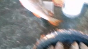 как приготовить окуня на вкус почти как креветку.