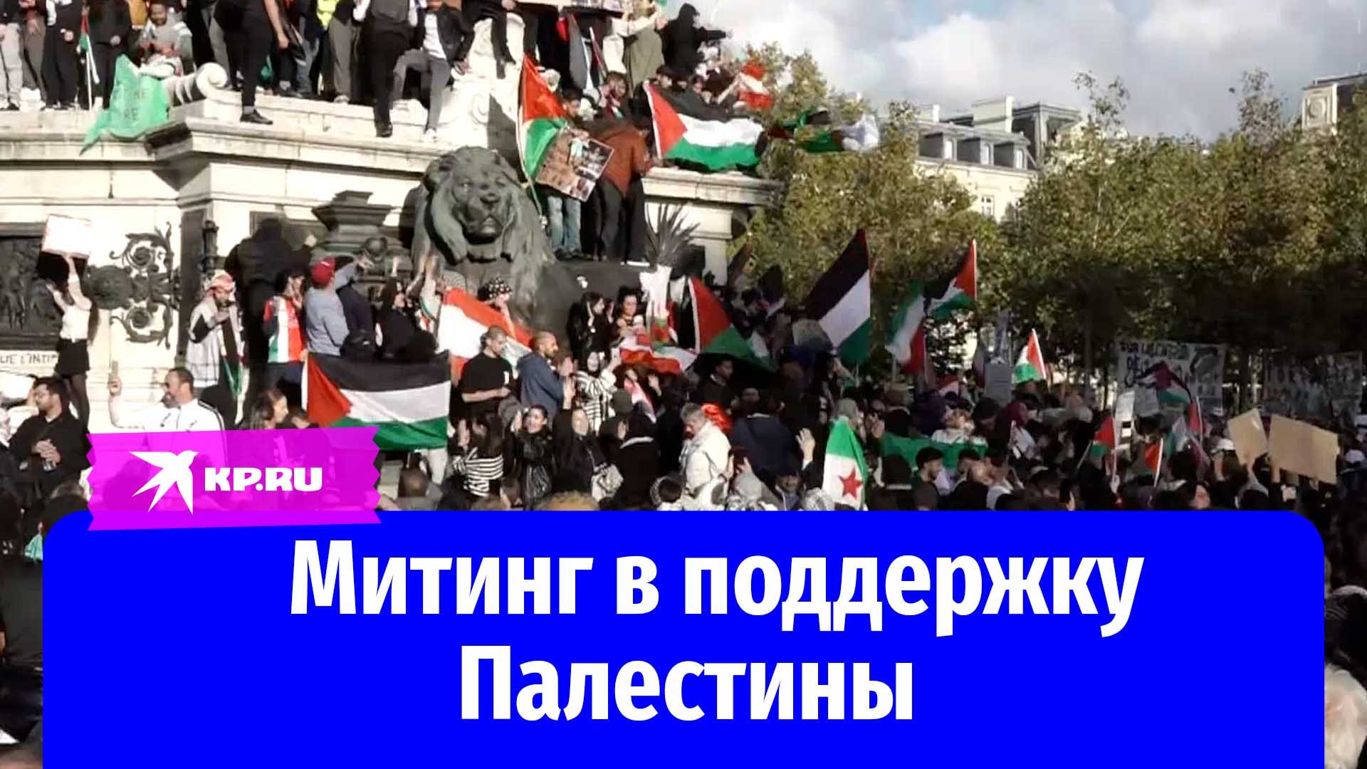Митинг в поддержку Палестины в Европе