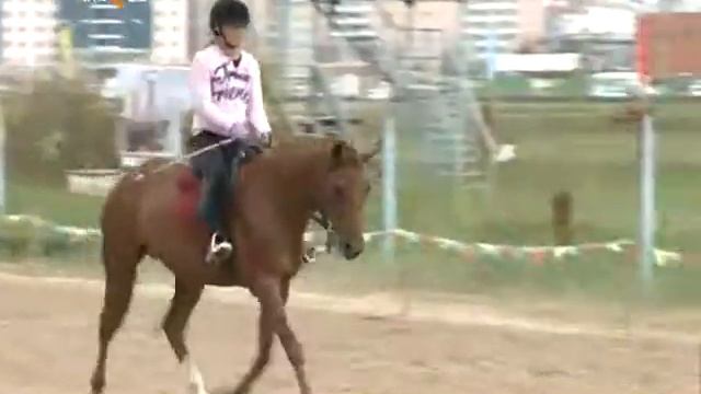 В гонку вступают лошади якутской породы. смотреть онлайн