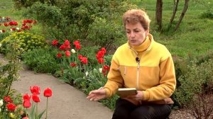 Сад непрерывного цветения - май, июнь.