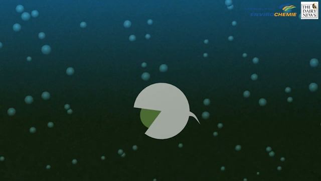 Как это метанреактор? смотреть онлайн