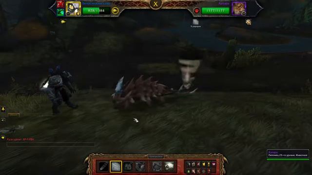 World of Warcraft НесокрушимостьХитара
