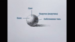 Рисование. Урок 10. Светотень (Распределение света и тени на поверхностях предметов).
