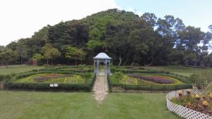 Замечательный Гонконг ?? - чем заняться и что посмотреть в Гонконге?